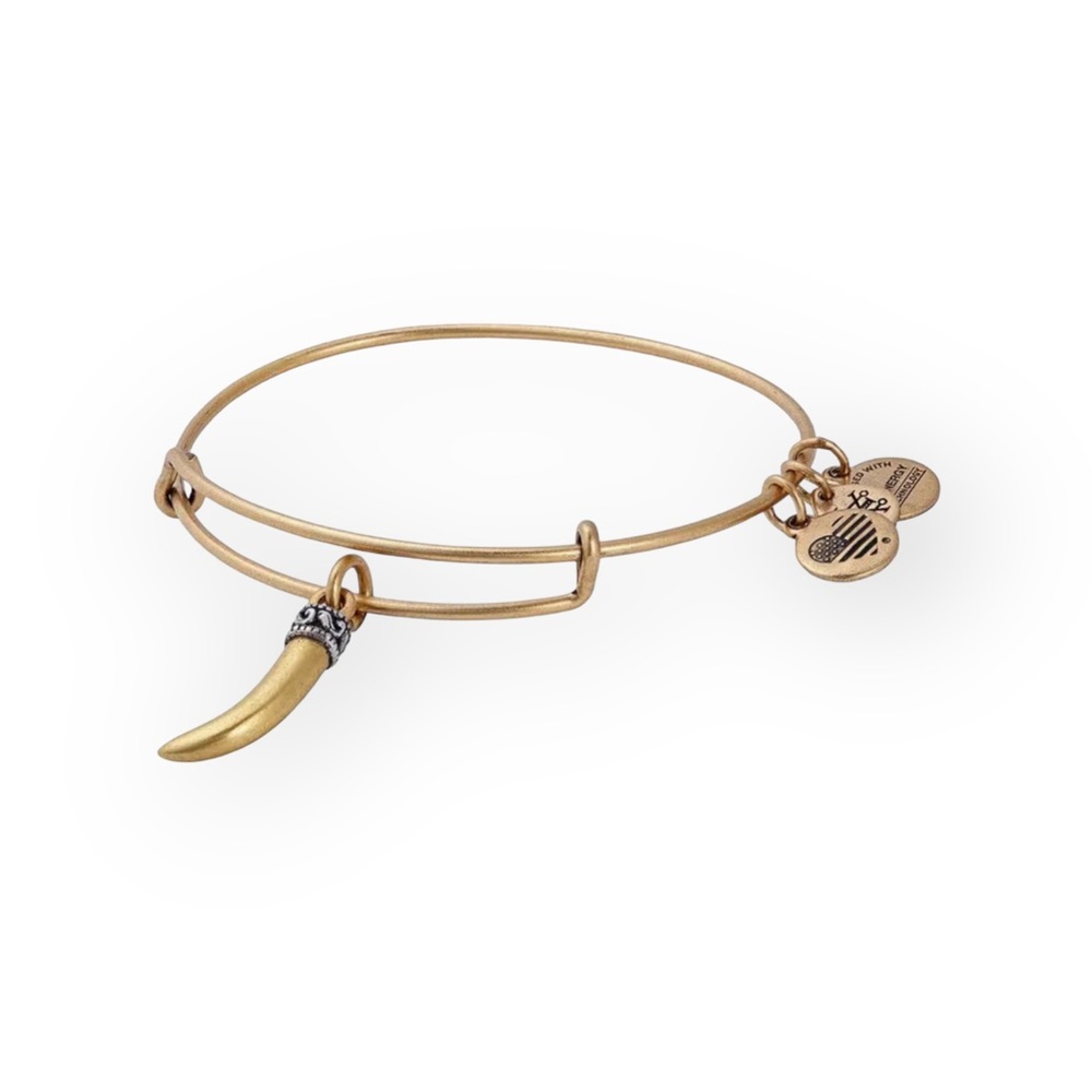 new Alex and Ani ꥟ Horn Charm Bangle Bracelet ꥟ Rafaelian Gold ꥟ Authentic Card
